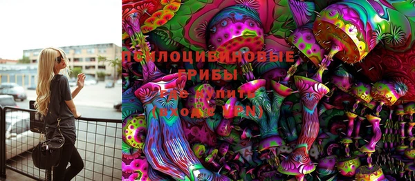 кокс Баксан